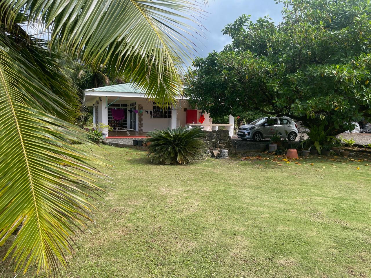 Jardin tropical luxuriant du Fare Manino à Huahine - Cocotiers et végétation Polynésie Française